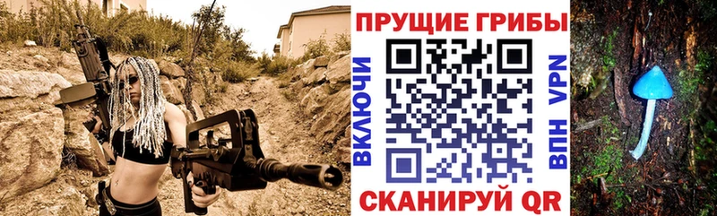 продажа наркотиков Черногорск Галлюциногенные грибы прущие грибы